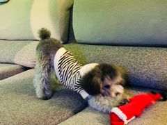 -默迹咖啡馆