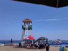 -碧海金沙