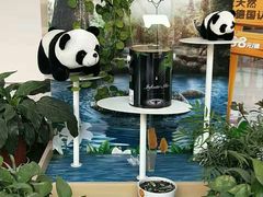 -立邦(武侯区西部专卖店)