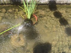 -茯茶镇