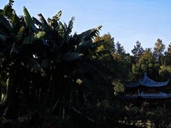 -东湖落雁景区