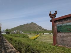 -清东陵