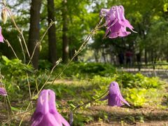 -国家植物园南园