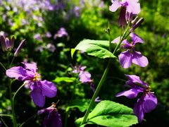 -停车场(临桂路)