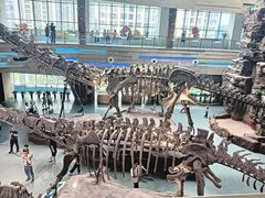 -安徽省地质博物馆