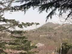 -大连植物园