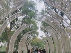 -渤公岛生态公园