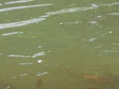 -酷鱼垂钓CLUB(朝阳区博大路店 )