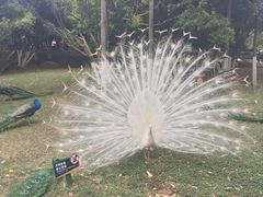 -昆明动物园
