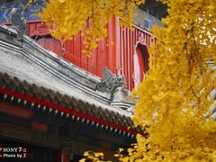 -承恩寺