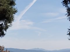 -长虫山生态公园风景林