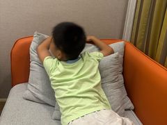 -维也纳酒店(华为广州研发中心罗冲围店)