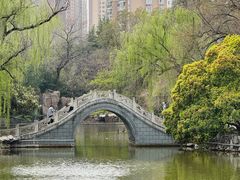 -西苑公园