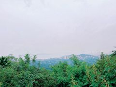 -青岛电视塔