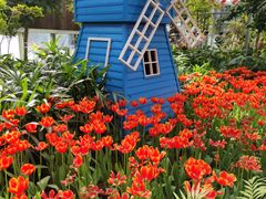 -南宫五洲植物乐园