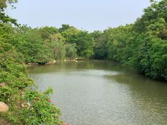 -上海海湾国家森林公园