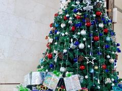 -上海崇明金茂凯悦酒店