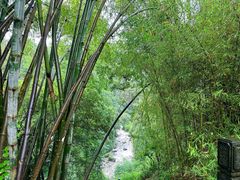 -叠水河瀑布