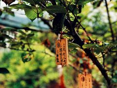 -剑河仰阿莎温泉小镇