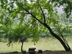 -楠溪江风景名胜区