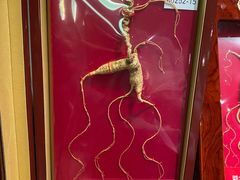 -雷允上(南京西路店)