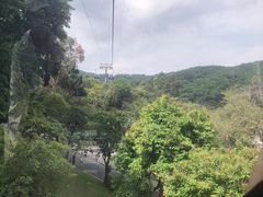 -广州市白云山风景名胜区