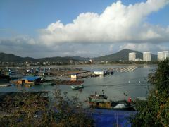 -神州半岛海上运动俱乐部