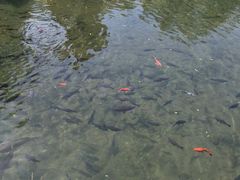 -水磨沟公园