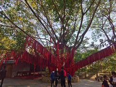 -西双版纳勐泐文化旅游区