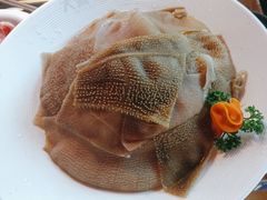 -大渝火锅(苏州西城永捷店)