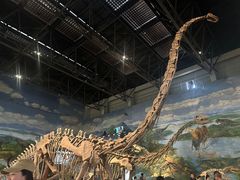 -自贡恐龙博物馆