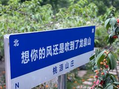 -桃源山庄·水蜜桃采摘·柴火鸡·烧烤团建(龙泉山店)
