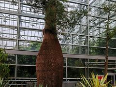 -南山植物园