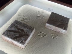 -世界恐龙谷景区