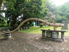 -海口火山口国家地质公园