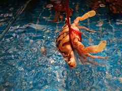 -香香海南菜餐厅