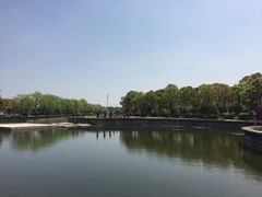 -上海鲜花港
