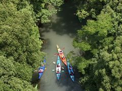 -动邦皮划艇·桨板·独木舟·团建户外运动俱乐部