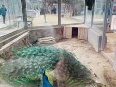 -水绘园