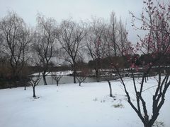 -南湖湿地公园