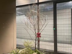 -隐溪茶馆(金虹桥店)