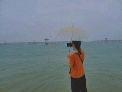 -碧海金沙