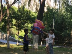 -长白岛森林公园