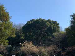 -杭州黄龙洞