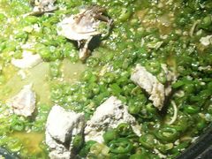 -烤煌黑豆花烤鱼(保山五洲国际广场店)
