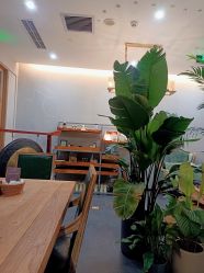 -芳香乐府疗愈空间·SPA·冥想