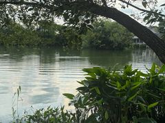 -新荣记(西溪湿地店)