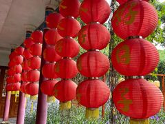 -玫瑰小镇