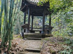 -沐川竹海旅游景区