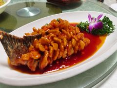 松子鱼尾-旭龙鱼头王(航华店)